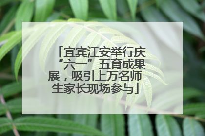 宜宾江安举行庆“六一”五育成果展，吸引上万名师生家长现场参与