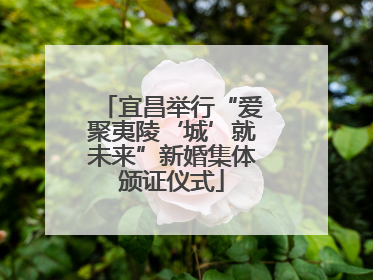 宜昌举行“爱聚夷陵‘城’就未来”新婚集体颁证仪式