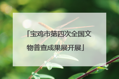 宝鸡市第四次全国文物普查成果展开展