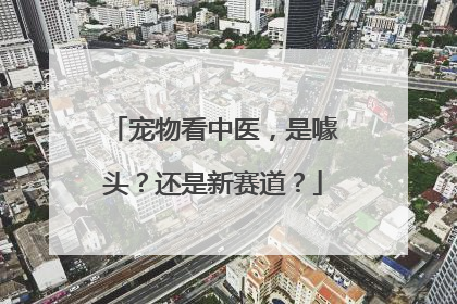 宠物看中医，是噱头？还是新赛道？