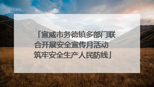 宣威市务德镇多部门联合开展安全宣传月活动 筑牢安全生产人民防线