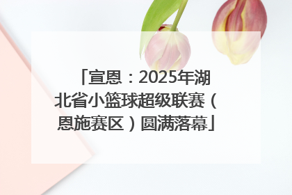 宣恩：2025年湖北省小篮球超级联赛（恩施赛区）圆满落幕