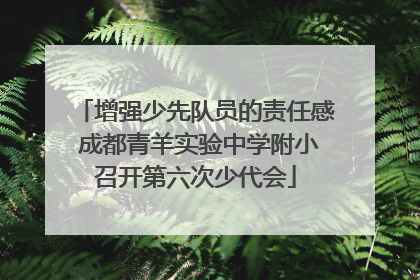 增强少先队员的责任感 成都青羊实验中学附小召开第六次少代会
