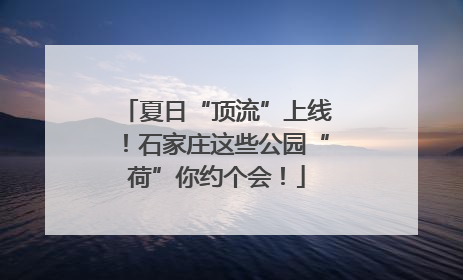 夏日“顶流”上线！石家庄这些公园“荷”你约个会！