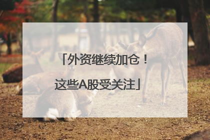 外资继续加仓！这些A股受关注