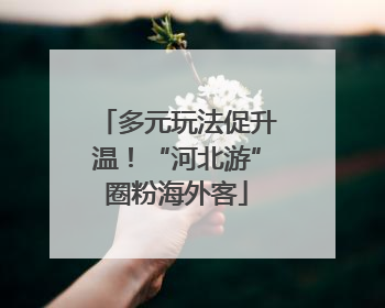 多元玩法促升温！“河北游”圈粉海外客