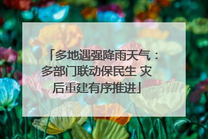 多地遇强降雨天气：多部门联动保民生 灾后重建有序推进