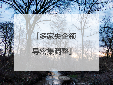 多家央企领导密集调整