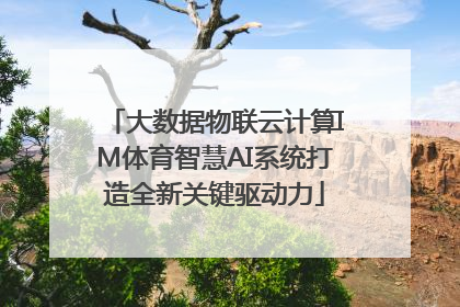 大数据物联云计算IM体育智慧AI系统打造全新关键驱动力