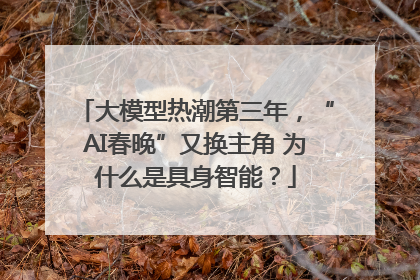 大模型热潮第三年，“AI春晚”又换主角 为什么是具身智能？