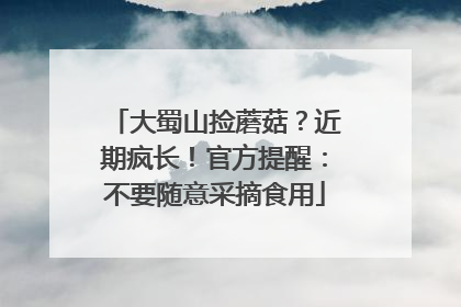大蜀山捡蘑菇？近期疯长！官方提醒：不要随意采摘食用