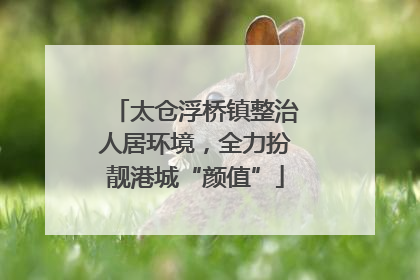太仓浮桥镇整治人居环境，全力扮靓港城“颜值”