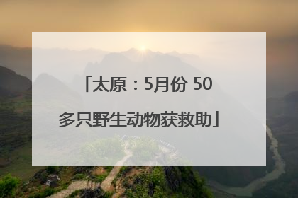 太原：5月份 50多只野生动物获救助