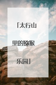 太行山里的猕猴乐园