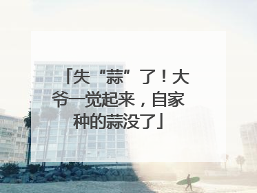 失“蒜”了！大爷一觉起来，自家种的蒜没了