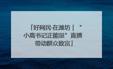 好网民·在潍坊｜“小高书记正能量”直播 带动群众致富