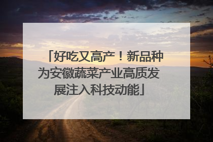 好吃又高产！新品种为安徽蔬菜产业高质发展注入科技动能
