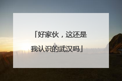 好家伙，这还是我认识的武汉吗