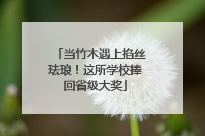 当竹木遇上掐丝珐琅！这所学校捧回省级大奖