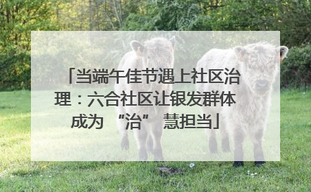 当端午佳节遇上社区治理：六合社区让银发群体成为 “治” 慧担当