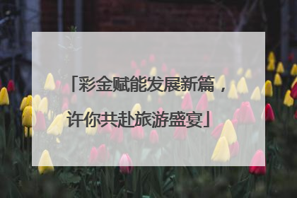 彩金赋能发展新篇，许你共赴旅游盛宴