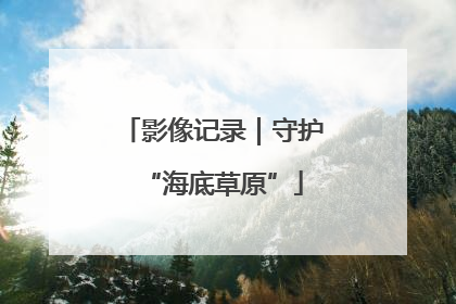影像记录｜守护“海底草原”