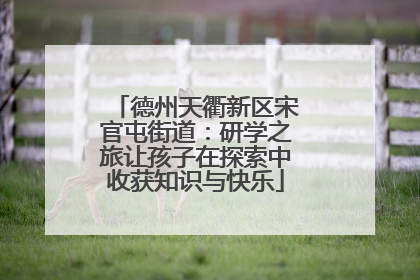 德州天衢新区宋官屯街道：研学之旅让孩子在探索中收获知识与快乐