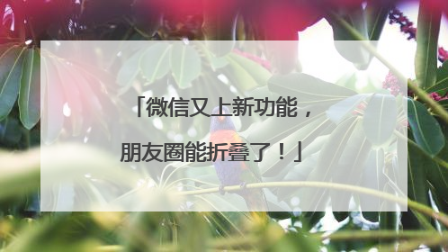 微信又上新功能，朋友圈能折叠了！