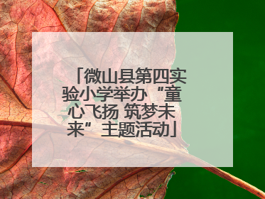 微山县第四实验小学举办“童心飞扬 筑梦未来”主题活动