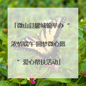 微山县驩城镇举办“浓情端午·圆梦微心愿”爱心帮扶活动