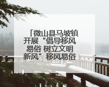 微山县马坡镇开展“倡导移风易俗 树立文明新风”移风易俗宣传活动