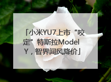 小米YU7上市“咬定”特斯拉Model Y，智界闻风降价