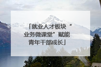 就业人才板块“业务微课堂”赋能青年干部成长