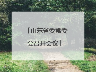 山东省委常委会召开会议