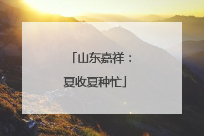 山东嘉祥：夏收夏种忙
