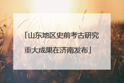 山东地区史前考古研究重大成果在济南发布