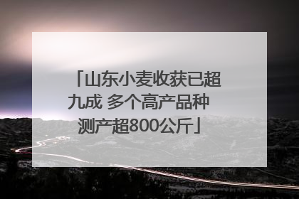 山东小麦收获已超九成 多个高产品种测产超800公斤