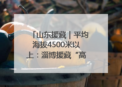 山东援藏｜平均海拔4500米以上：淄博援藏“高”在哪里？