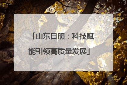 山东日照：科技赋能引领高质量发展