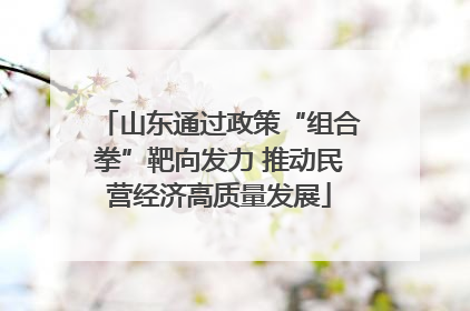 山东通过政策“组合拳”靶向发力 推动民营经济高质量发展