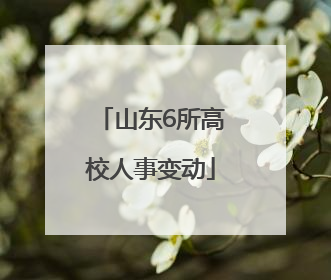 山东6所高校人事变动