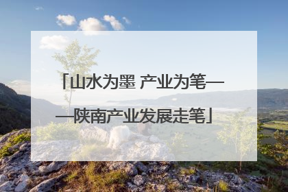 山水为墨 产业为笔——陕南产业发展走笔