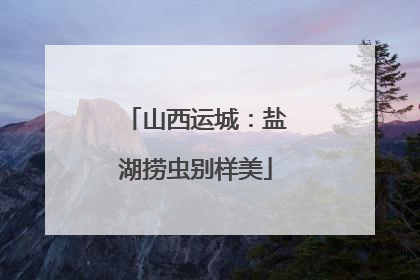 山西运城：盐湖捞虫别样美