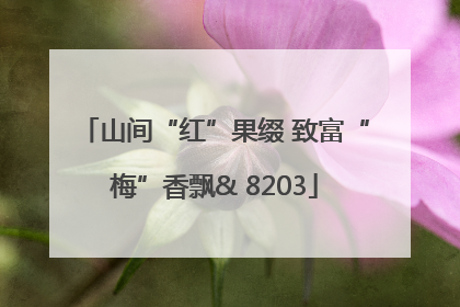 山间“红”果缀 致富“梅”香飘& 8203
