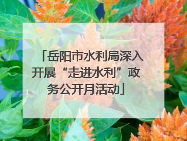 岳阳市水利局深入开展“走进水利”政务公开月活动