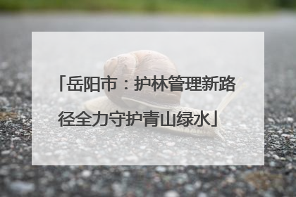 岳阳市：护林管理新路径全力守护青山绿水