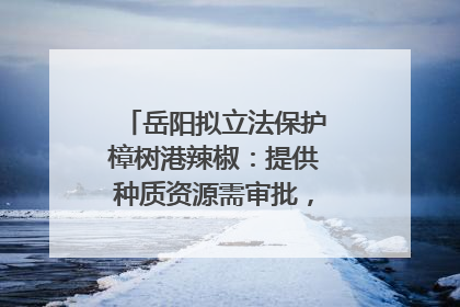 岳阳拟立法保护樟树港辣椒：提供种质资源需审批，违规最高罚5万
