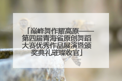 巅峰舞作耀高原——第四届青海省原创舞蹈大赛优秀作品展演暨颁奖典礼璀璨收官
