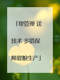 帮管理 送技术 多措保障夏粮生产