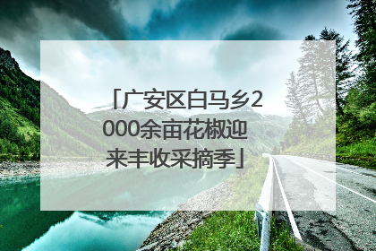 广安区白马乡2000余亩花椒迎来丰收采摘季